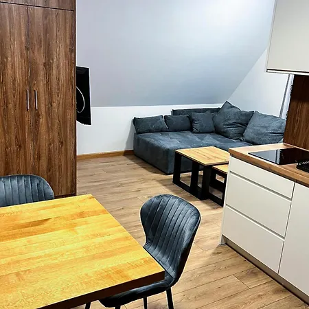 公寓式酒店 Nosalowa Dolina