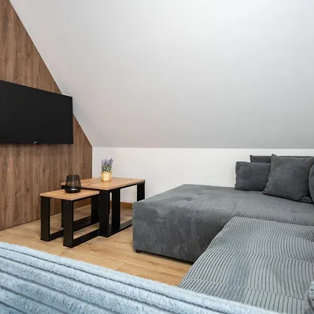 公寓式酒店 Nosalowa Dolina 扎科帕内